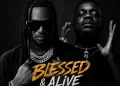 Rudeboy ft Sarkodie | Blessed & Alive